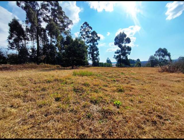 LAND FOR SALE IN GREENDALE